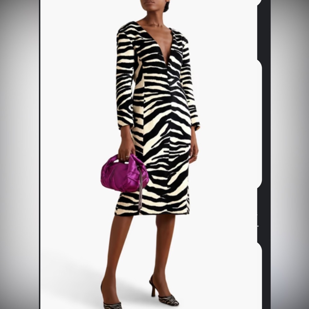 Dries Van Noten Debra Zebra Sheath Dress - Picture 2 of 9